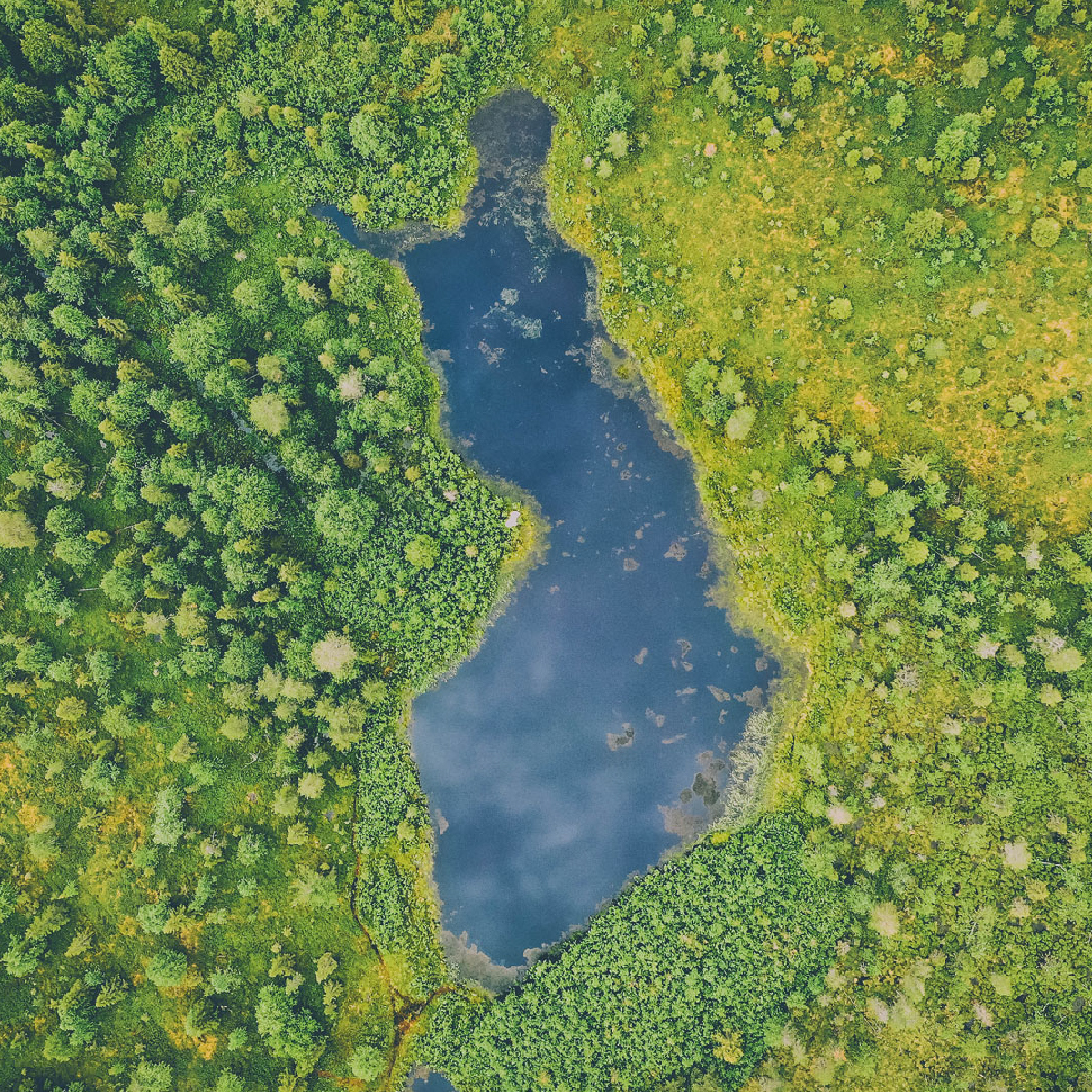 Erillisverkot – Vuosikertomus ja vastuullisuusraportti